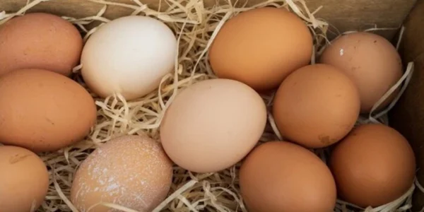 На початку нового року один із базових продуктів у раціоні українців суттєво здорожчає