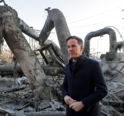 Рютте показали наслідки удару Росії по ТЕЦ в Києві