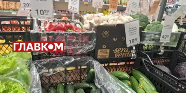 Ціни на огірки знижуються: що стало причиною