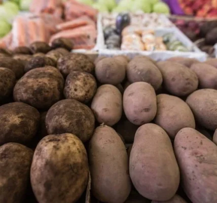 Виробники підвищили ціни на картоплю: причина