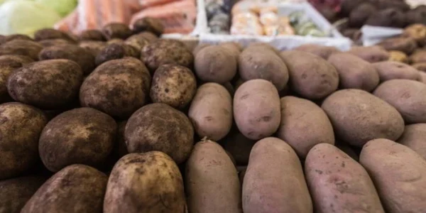Виробники підвищили ціни на картоплю: причина