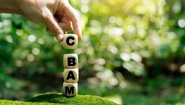 Якщо не домовимося про відтермінування щодо СВАМ, втратимо європейські ринки збуту – експертка