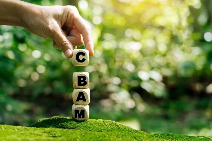 Якщо не домовимося про відтермінування щодо СВАМ, втратимо європейські ринки збуту – експертка