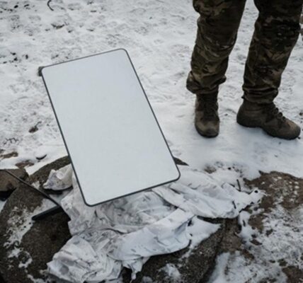 Польща прийняла рішення щодо Starlink для України