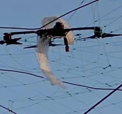 В Україні пришвидшили будівництво антидронових сіток - Федоров