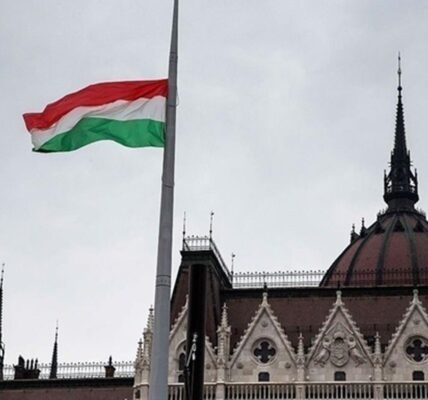 Викрадення інкасаторів: Угорщина зробила заяву