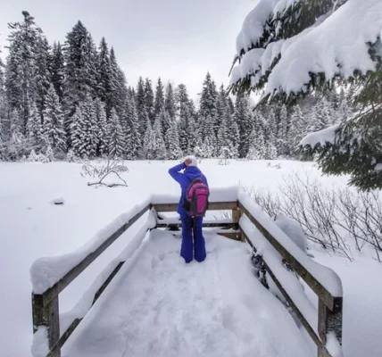 Надходження турзбору зросли за рік на третину: названо регіони-лідери