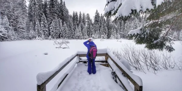 Надходження турзбору зросли за рік на третину: названо регіони-лідери