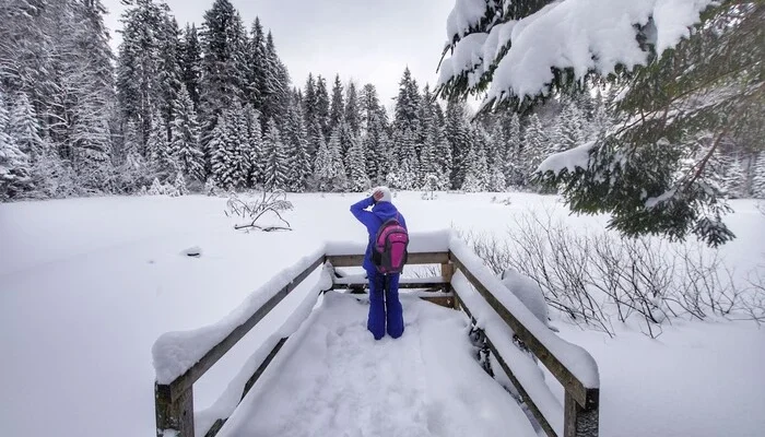 Надходження турзбору зросли за рік на третину: названо регіони-лідери