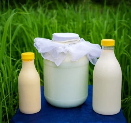 Молочна галузь України на межі обвалу: чи стане продукт дефіцитом