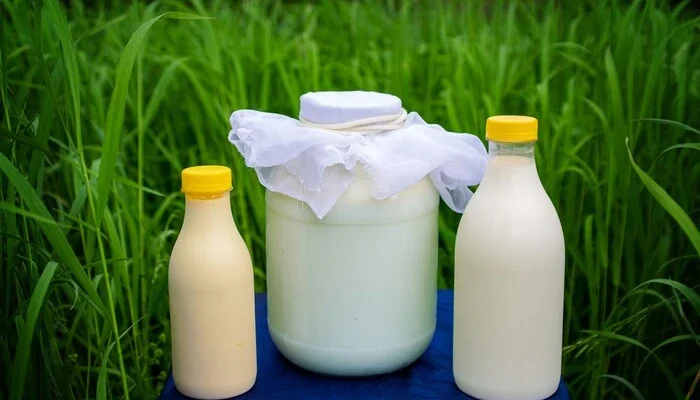 Молочна галузь України на межі обвалу: чи стане продукт дефіцитом