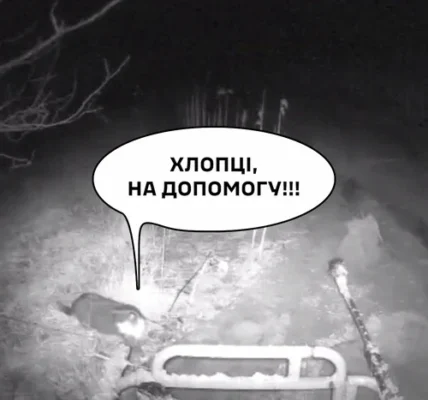 Кіт визволив із пастки наземний дрон та допоміг евакуювати пораненого воїна