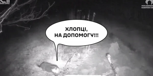 Кіт визволив із пастки наземний дрон та допоміг евакуювати пораненого воїна