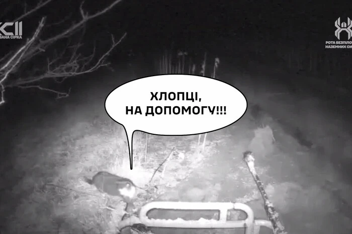 Кіт визволив із пастки наземний дрон та допоміг евакуювати пораненого воїна