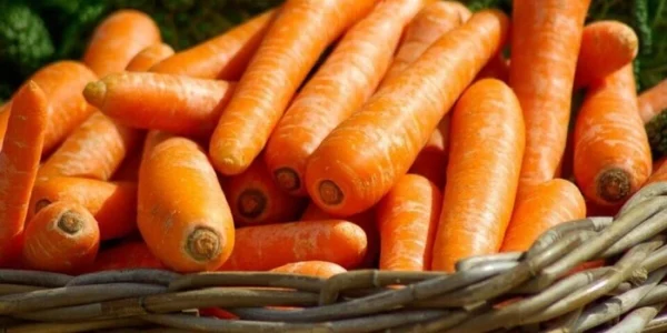 В Україні почала дорожчати морква