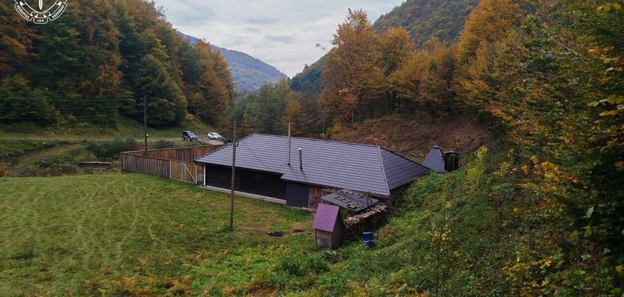 Лісничий з Закарпаття збудував маєток на самовільно захопленій ділянці