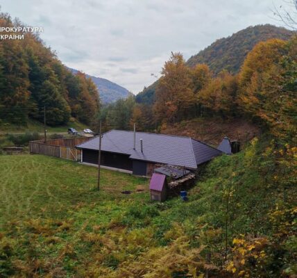 Лісничий з Закарпаття збудував маєток на самовільно захопленій ділянці