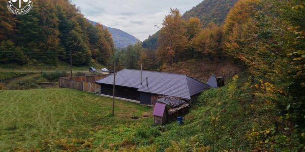 Лісничий з Закарпаття збудував маєток на самовільно захопленій ділянці