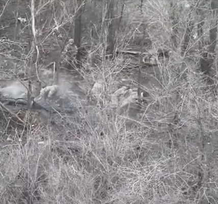 Двоє бійців ЗСУ взяли в полон вісьмох окупантів