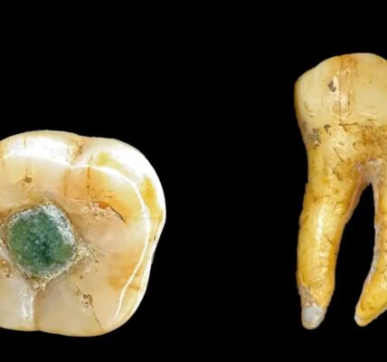 Давні мая використовували дорогоцінні камені як пломби