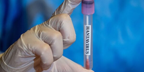 Українцям пояснили, як захиститися від хантавірусу