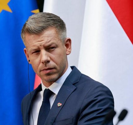 Мадяр зробив заяву щодо гарантій для України