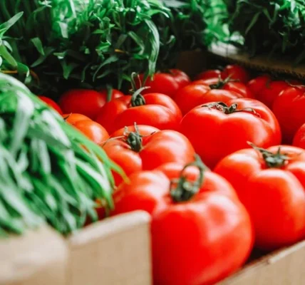 Помідори в Україні подешевшали на 10% – і це ще не межа
