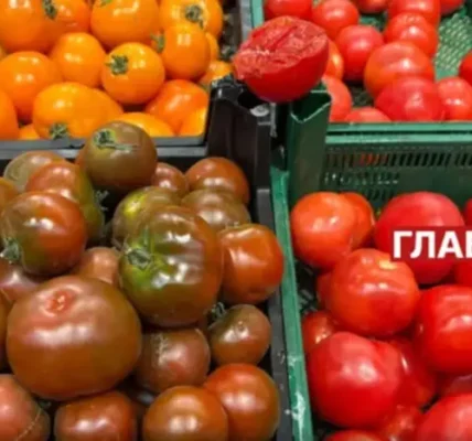В Україні дешевшають помідори: ціни та причина