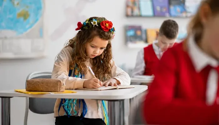 Генератори, сонячні панелі, укриття: уряд готує школи й виші до зими