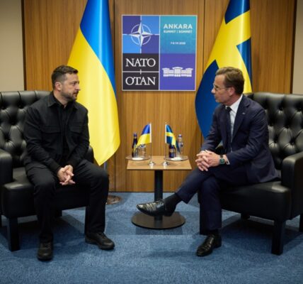Україна та Швеція обговорили посилення авіації