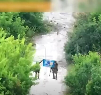 ЗСУ зачистили від окупантів Новохатське на Донбасі