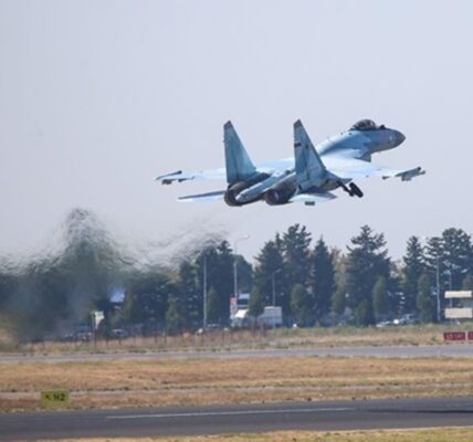 ЗСУ показали ураження російського винищувача Су-35