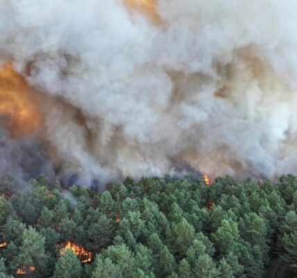 Під Парижем горить ліс: евакуювали тисячу людей