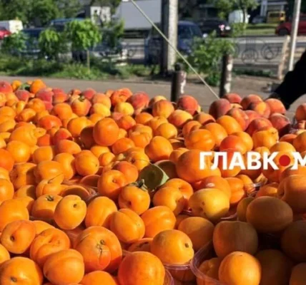 Дешевше за полуницю: огляд цін на ранні персики та абрикоси в Києві