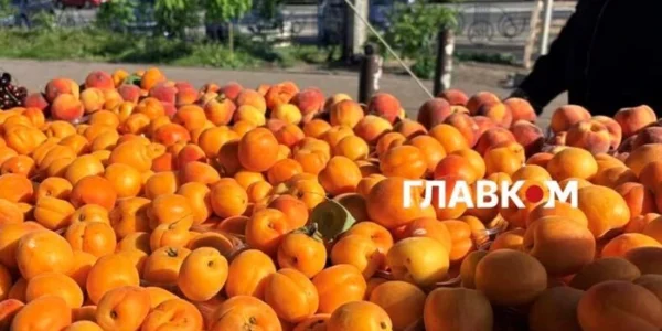 Дешевше за полуницю: огляд цін на ранні персики та абрикоси в Києві