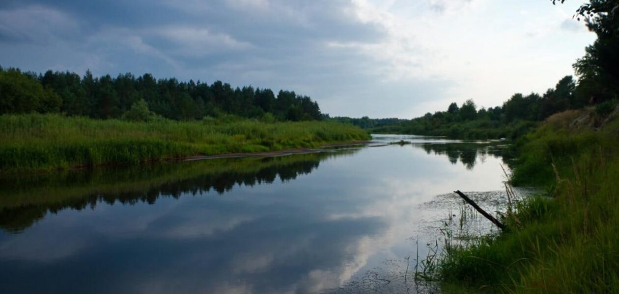 Рідкісні риби оселилися у водоймах Чорнобильської зони