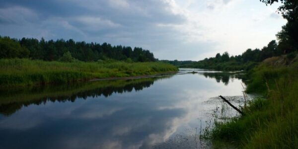 Рідкісні риби оселилися у водоймах Чорнобильської зони