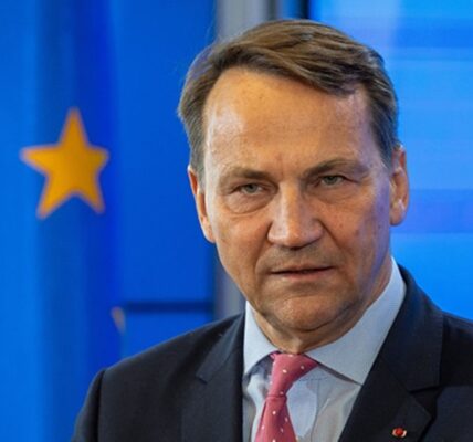 Сікорський закликав Європу створити легіон з українськими ветеранами