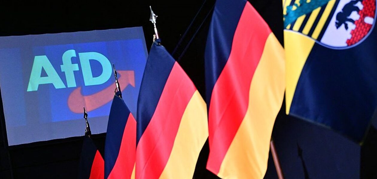 Стало відомо, яка вікова група голосувала за AfD