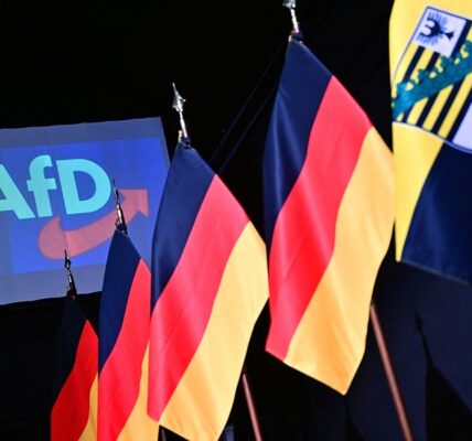 Стало відомо, яка вікова група голосувала за AfD