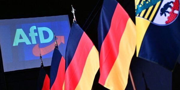 Стало відомо, яка вікова група голосувала за AfD