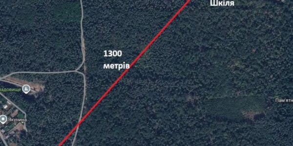 За 5 років слідство так і на встановио, хто стріляв у Сергія Шефіра